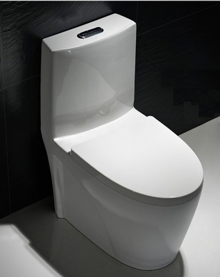 Toilet Bulat One Piece Dual Flush Single Piece Commode Flush Tank 12 Rough In