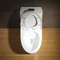 Dual Flush Water Saver Titan Toilet Elongated American Cupc Standard