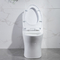 Toilet Panjang Siram Ganda Odm Dengan Lubang Samping Standar Amerika