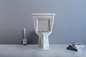 Toilet Standar Amerika Dua Bagian Dengan Pembilasan Siphon Kasar 10-Inci