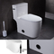 Ada American Standard Floor Mounted Toilet One Piece Water Closet MAP 800G