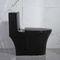 Toilet Kamar Mandi Iapmo Matte Black 1 Buah Toilet Siram Ganda Keramik Siphonic Panjang