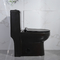 400mm Siphonic One Piece Toilet Dan Bidet Wc Untuk Apartemen Hotel Villa