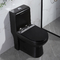 Kamar Mandi Modern Toilet Dual-Flush Memanjang 1-Piece Toilet Dengan Soft-Closing Seat