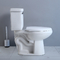 10 Inch Kasar Dalam Ada Kenyamanan Tinggi Toilet Siphon Flushing Toilet Putaran Depan