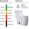 Toilet CUPC Seamless Single Piece Flush Tank Siphonic Commode Flush System