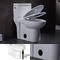 Kursi bundar Toilet One Piece Rok Modern, Tinggi Kenyamanan Memanjang Putih