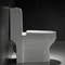 Putih 1 One Piece Dual Flush Comfort Tinggi Toilet S Trap 300mm 10&quot; Roughing In