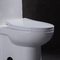 Toilet One Piece Siphonic memanjang 10 Kasar Dalam Penutupan Lembut Anti Bocor