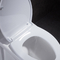 Toilet One Piece Siphonic memanjang 10 Kasar Dalam Penutupan Lembut Anti Bocor