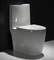 Map1000 Dual-Flush Memanjang One-Piece Toilet Seat Termasuk Kamar Mandi Kecil