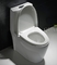 American Standard memanjang kanan tinggi One Piece Round Toilet Bowl 1.6 gpf