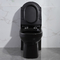 Toilet Toilet One Piece Matt Black Dual Flush memanjang 1.6 Gpf Cupc Ceramic Round