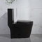 Matt Black one-piece compact memanjang toilet dual-flush dengan trapway skirted