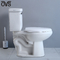 2 buah toilet standar Amerika dengan ketinggian yang tepat untuk Pencucian Umum