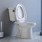 Kenyamanan Tinggi Dua Potong Toilet Putih Bulat Memanjang Fitur Kursi 800mm